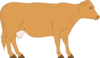 Brown Cow Side View Clip Art